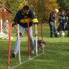 agility 2011-10-30